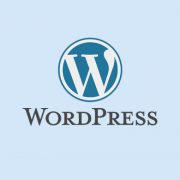 وردپرس سیستم مدیریت محتوا – WordPress CMS